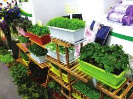 高端西瓜品牌的市场定位与消费者需求研究